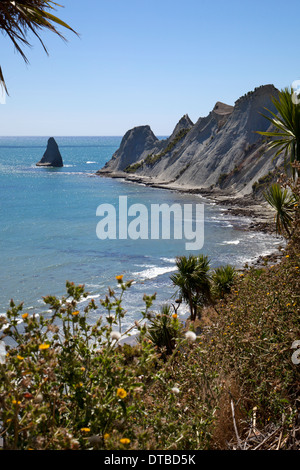 Cape Kidnappers, Hawkes Bay, in der Nähe von Hastings, Nordinsel, Neuseeland Stockfoto