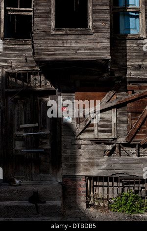Zwei Katzen auf der Veranda ein altes verlassenes Holz Haus in Sultanahmet ausruhen Stockfoto