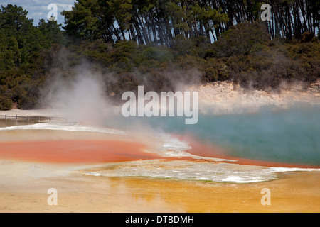 Champagne Pool, Wai-o-Tapu Thermal Wonderland in der Nähe von Rotorua und Taupo, Nordinsel, Neuseeland Stockfoto