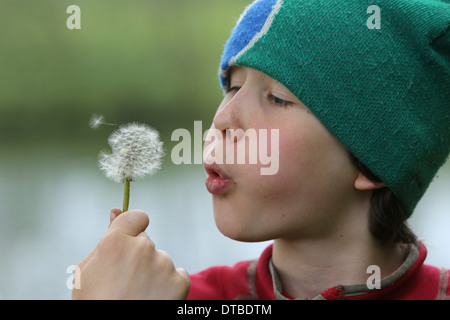 Neu Kätwin, Deutschland, junge bläst Löwenzahn gegen eine Stockfoto