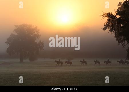 Chantilly, Frankreich, Reiter und Pferde bei der Fahrt in den Morgen Stockfoto