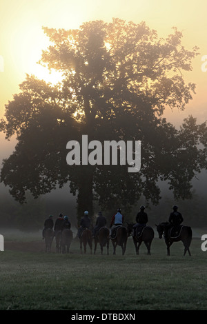 Chantilly, Frankreich, Reiter und Pferde bei der Fahrt in den Morgen Stockfoto