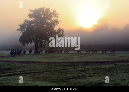 Chantilly, Frankreich, Reiter und Pferde bei der Fahrt in den Morgen Stockfoto