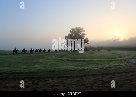 Chantilly, Frankreich, Reiter und Pferde bei der Fahrt in den Morgen Stockfoto