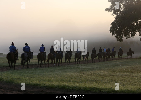 Chantilly, Frankreich, Reiter und Pferde bei der Fahrt in den Morgen Stockfoto