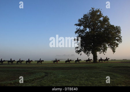 Chantilly, Frankreich, Reiter und Pferde bei der Fahrt in den Morgen Stockfoto