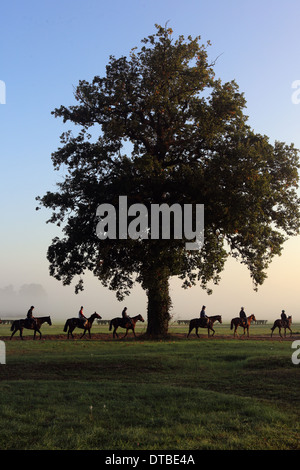 Chantilly, Frankreich, Reiter und Pferde bei der Fahrt in den Morgen Stockfoto