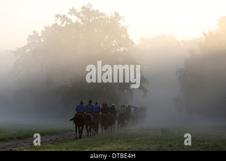 Chantilly, Frankreich, Reiter und Pferde bei der Fahrt in den Morgen Stockfoto