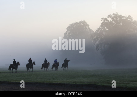 Chantilly, Frankreich, Reiter und Pferde bei der Fahrt in den Morgen Stockfoto