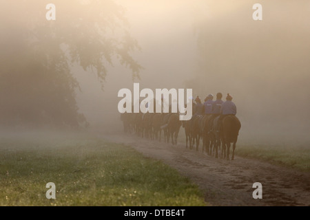 Chantilly, Frankreich, Reiter und Pferde bei der Fahrt in den Morgen Stockfoto