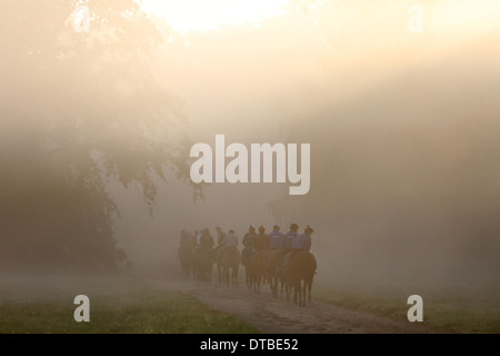 Chantilly, Frankreich, Reiter und Pferde bei der Fahrt in den Morgen Stockfoto