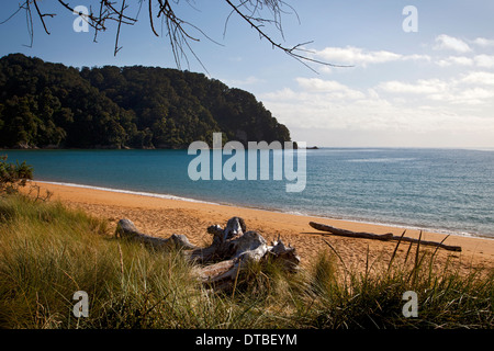 Totaranui Beach, Abel Tasman Nationalpark, Südinsel, Neuseeland Stockfoto