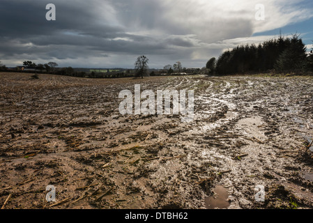 GESÄTTIGTEN ACKERLAND NACH STARKEN REGENFÄLLEN IM WINTER 2014 GLOUCESTERSHIRE UK FEUCHTESTEN WINTER AUF AUFZEICHNUNG Stockfoto