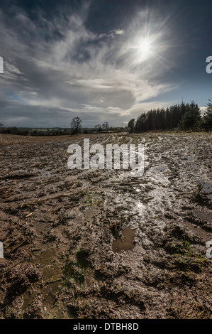 Gesättigten Bereich in Gloucestershire, England Februar 2014 nach feuchtesten Winter auf Aufzeichnung Stockfoto