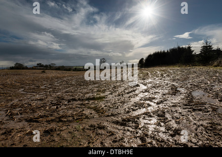 Gesättigten Bereich in Gloucestershire, England Februar 2014 nach feuchtesten Winter auf Aufzeichnung Stockfoto