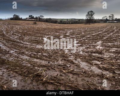 Gesättigten Bereich in Gloucestershire, England Februar 2014 nach feuchtesten Winter auf Aufzeichnung Stockfoto