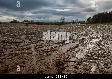 Gesättigten Bereich in Gloucestershire, England Februar 2014 nach feuchtesten Winter auf Aufzeichnung Stockfoto