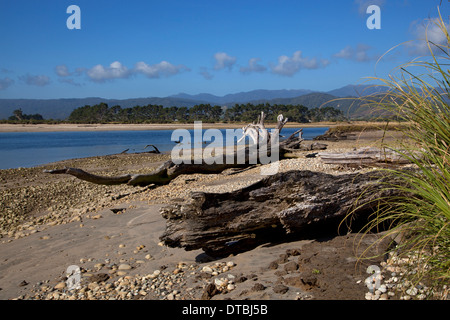 Treibholz auf Karamea Fluss, Karamea, West Coast, Südinsel, Neuseeland Stockfoto