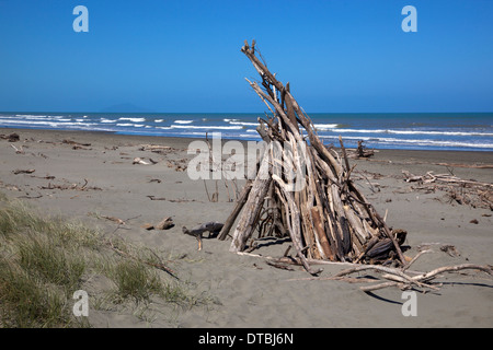 Treibholz auf Otaki Beach, Westküste, Nordinsel, Neuseeland Stockfoto