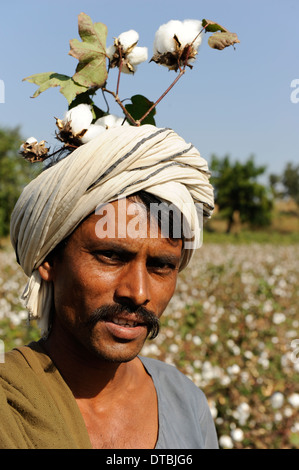 Indien, Nimad Region, Khargone, tribal Landwirt von kooperativen Shiv Krishi Utthan Sanstha Ernte Fairtrade Bio-Baumwolle Stockfoto