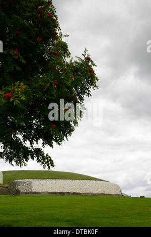 Newgrange neolithischen Durchgang Grab komplexe Irland Asche Baum Beere Beeren Druiden Religion religiöse Symbolik Stockfoto