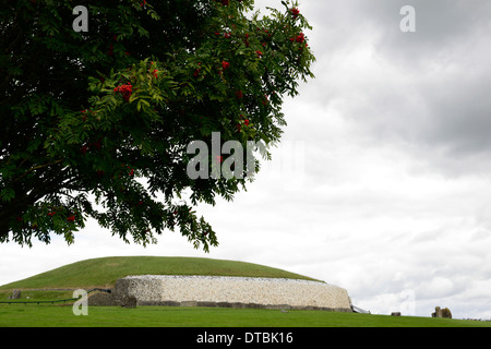 Newgrange neolithischen Durchgang Grab komplexe Irland Asche Baum Beere Beeren Druiden Religion religiöse Symbolik Stockfoto