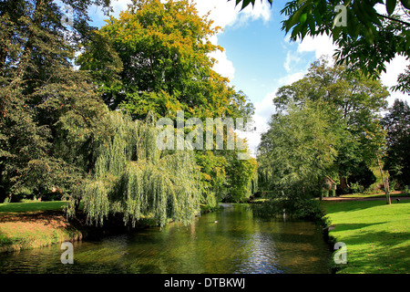 Fluß Lea, Hertford Stadt, Grafschaft Hertfordshire, England, UK Stockfoto