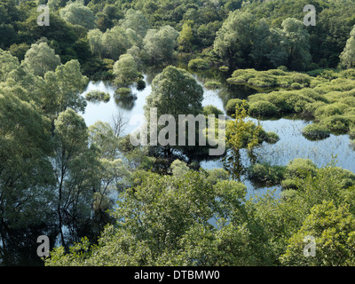 Torbole, Italien, Blick über den Lago di Loppio Stockfoto