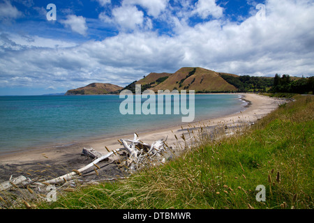 Tokomaru Bay, East Cape, Nordinsel, Neuseeland Stockfoto