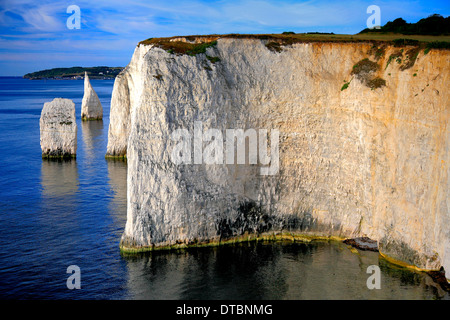 Die Pinnacles Felsnadeln, Swanage Bay, Jura-Küste, Dorset County; England; UK Stockfoto
