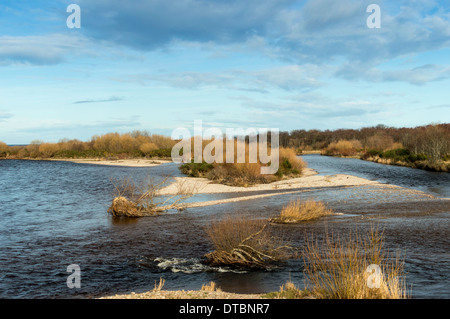 FLUSS SPEY-SCHOTTLAND IM SPEYMOUTH IN DER NÄHE VON TUGNET UND ÜBER EINE VIERTELMEILE VOM MEER ENTFERNT Stockfoto