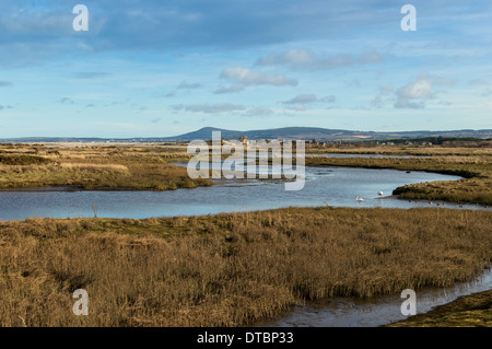 SPEY BAY VON KINGSTON DORF MORAY KÜSTE SCHOTTLANDS MIT BLICK AUF TUGNET ÜBER DEN RIVER SPEY Stockfoto