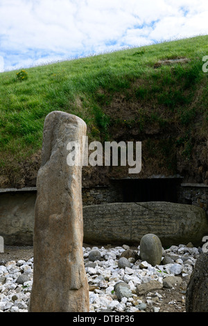 Bordsteinkante Schnitzereien Knowth neolithischen Durchgang Grab Boyne Valley County Meath Irland Weltkulturerbe Stockfoto