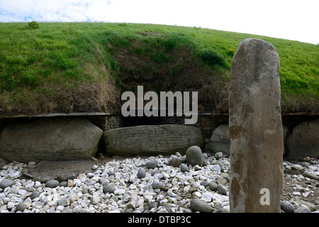 Bordsteinkante Schnitzereien Knowth neolithischen Durchgang Grab Boyne Valley County Meath Irland Weltkulturerbe Stockfoto