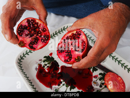 Rubin roter Granatapfel-Frucht halbieren zeigt reichen rote Samen in Abschnitten von weißen Membran innerhalb Frucht mit Saft heraus fließt. Stockfoto