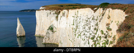 Die Pinnacles Felsnadeln, Swanage Bay, Jura-Küste, Dorset County; England; UK Stockfoto