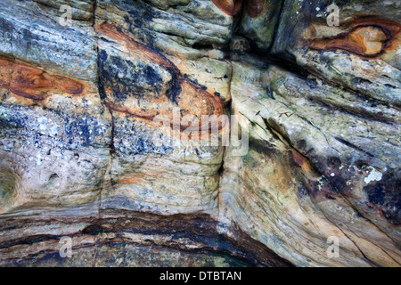 Bunte Felsen am Doo Craigs St Andrews, Fife Schottland Stockfoto