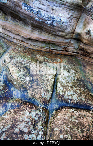 Überqueren Sie Muster in den Felsen bei Doo Craigs St Andrews, Fife Schottland Stockfoto