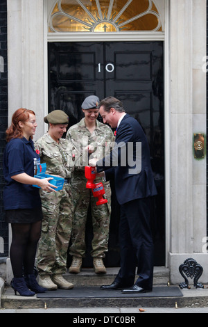 Royal British Legion Poppy appellieren, britische Armee Stockfoto