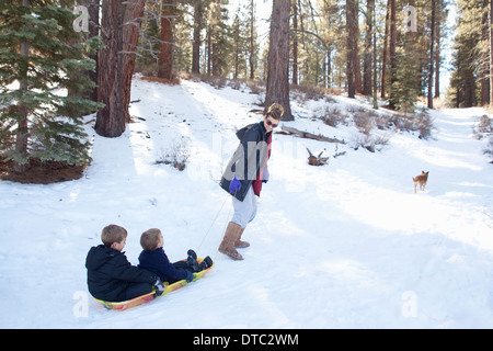 Großmutter Enkel auf Schlitten im verschneiten Wald ziehen Stockfoto