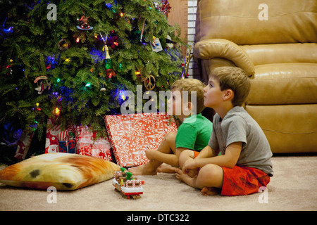 Zwei vertieft junge Brüder, die neben Weihnachtsbaum sitzt Stockfoto