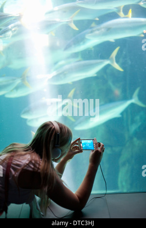 Junge Frau fotografieren Fisch auf Smartphone im aquarium Stockfoto