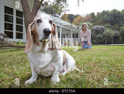 Hund sitzt auf dem Rasen, Frau im Hintergrund Stockfoto