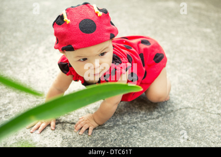 Baby Mädchen tragen Marienkäfer outfit Stockfoto