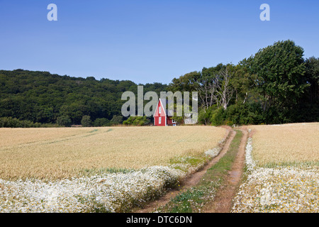 Einsame traditionellen roten Holzhäuschen entlang Feld im Sommer in ländliche Skåne / Scania, Schweden, Scandinavia Stockfoto