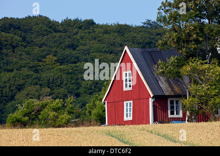 Einsame traditionellen roten Holzhäuschen entlang Feld im Sommer in ländliche Skåne / Scania, Schweden, Scandinavia Stockfoto