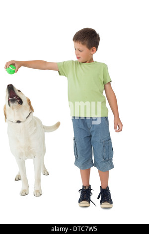 Niedlichen kleinen Jungen spielen Ball mit seinem labrador Stockfoto