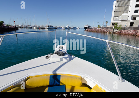 Tauchen im Meer von cortez Stockfoto