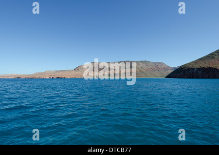 Tauchen im Meer von cortez Stockfoto