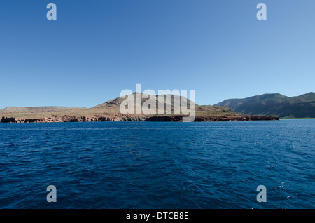 Tauchen im Meer von cortez Stockfoto